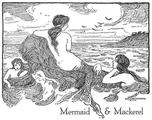Mermaid & Mackerel